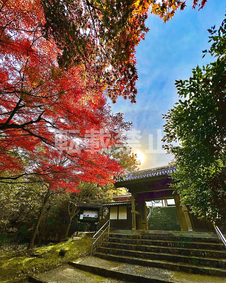 Silver Award "Kinshu no Mon"
